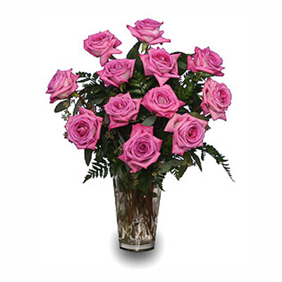 VD17 Pink Bliss Roses