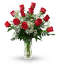 Classic Dozen Red Rose Arrangement by Winnipeg Florist, Dragonfly Flowers