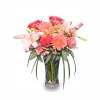 CORAL REFLECTIONS of Fresh Flowers