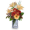 FATHER KNOWS BEST Floral Arrangement