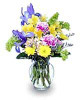 splash of spring