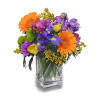 Our Best Selling Winnipeg Florists Arrangement!  Celebrate the Day!