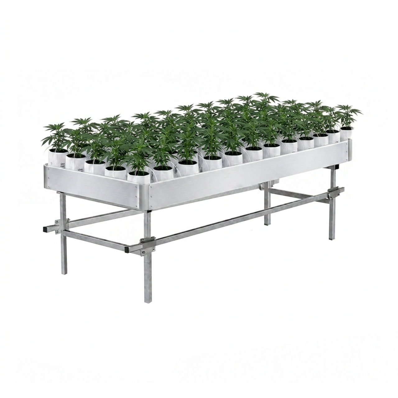 Stationary Ebb & Flow Greenhouse Bench for Indoor Farming - 2'W x 4'L