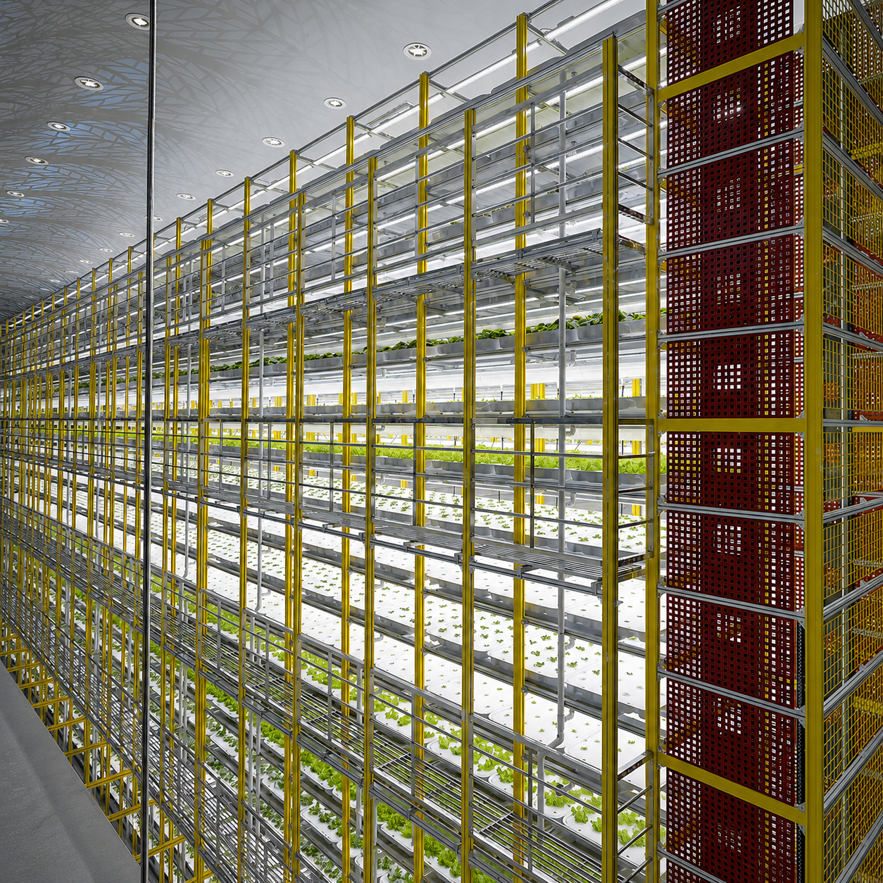 AGEYE HYVE Scale Commercial Vertical Farming System - 4 Racks, 8 Levels -3,000 sq ft (720 in W x 192 in D x 600 in H)