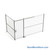 Wire Security Cage 174''W x 100''D x 125''H - WSD4-2-23-10