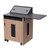 Compact Podium with Rack Mount and Secure Storage
