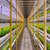 AGEYE HYVE Scale Commercial Vertical Farming System - 4 Racks, 8 Levels -3,000 sq ft - alternate view (720 in W x 192 in
