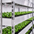 SSG Horticulture 40' Standard Grow Container