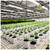 Max Roll Ebb & Flow Greenhouse Bench for Indoor Farming - 6'W x 108'L alternate view 9