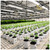 Max Roll Ebb & Flow Greenhouse Bench for Indoor Farming - 6'W x 48'L alternate view 9