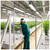Max Roll Ebb & Flow Greenhouse Bench for Indoor Farming - 3'W x 56'L alternate view 6