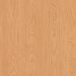 Amber Maple
