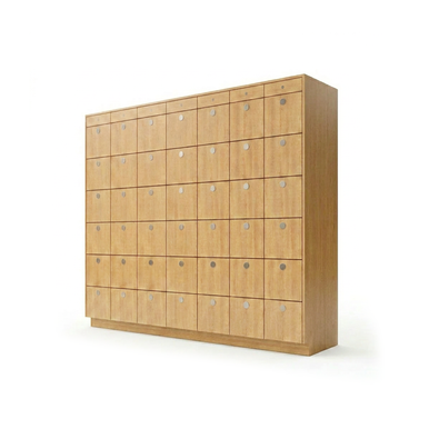 Smart Rental Lockers 111''W x 24''D x 76''H - SPL-1212476-42FL-AC