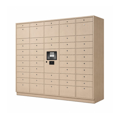 Library Patron Smart Locker System with 46 Openings