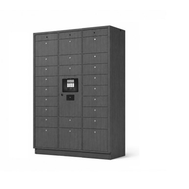 26-Opening IT Asset Management Smart Locker System