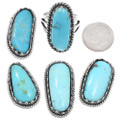Sleeping Beauty Turquoise Ring 27819