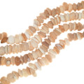 Graduated Natural Shell Beads 35009