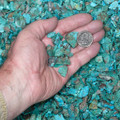 Sonoran Gold Green Turquoise Flat Nuggets Priced per Pound 37392