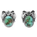 Matching Turquoise Sterling Silver Earrings 37586