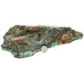 Large Rough Turquoise Stone Alacran Mine 37606