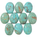 Sonora Turquoise Cabochons Cut from same Turquoise 37796