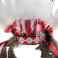 Native American Made Feather Headdress Powwow Regalia 46187