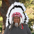 Large Traditional Native American Feather Headdress 46187