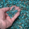 Bisbee II Turquoise Nuggets Tumble Polished Rough 45183
