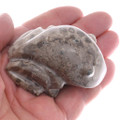 Authentic Zuni Fetish Hand Carved Fossilized Coral 49050