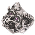 Sterling Silver Skull Demon Ring 50093