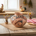 Polychrome Mata Ortiz Olla Pottery by Mary Chavira 0219