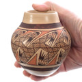 Native American Pottery Hopi Southwest Decor 49353
