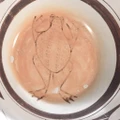 Authentic Hopi Frogwoman Pottery Artist Joy Navasie Signed 49711