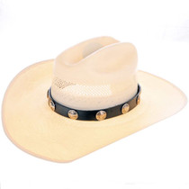 Buffalo Nickels Hatband 24607