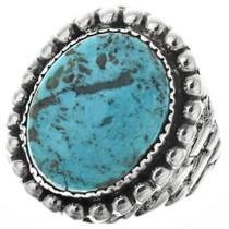 Ithaca Peak Turquoise Navajo Mens Ring 29676