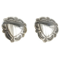 Sterling Silver Earrings 20733