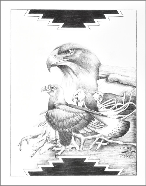 Native American Gathering of Eagles Art 17216