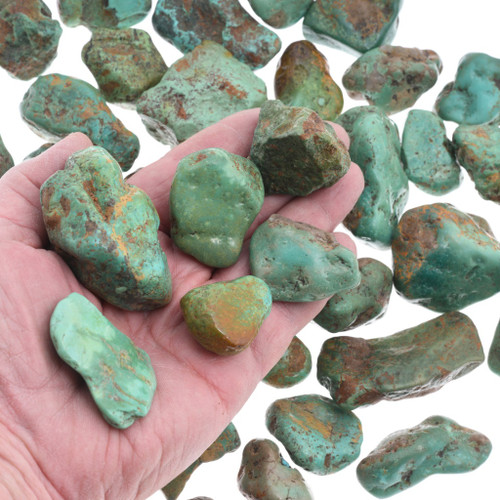 Green Turquoise Rough Nuggets Alacran One Pound Lot 37000