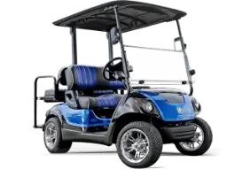 Golf Cart Accessories  Shop for Golf Cart Parts & Accessories Online -  JEGS High Performance