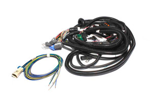 FAST Wiring Harness FAST Main LT1