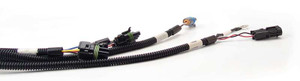 FAST Wiring Harness FAST Main