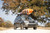 Kayak Roof Rack Bracket Kit | Universal Kayak Roof Rack Bracket Kit | Universal