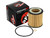 aFe Pro GUARD D2 Oil Filter 06-19 BMW Gas Cars L6-3.0T N54/55 - 4 Pack
