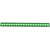 ANZO Universal 24in Slimline LED Light Bar (Green)