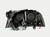ANZO 1997-2004 Dodge Dakota Projector Headlights w/ Halo Black 1 pc