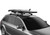 Thule SUP Taxi XT - Stand Up Paddleboard Carrier (Fits Boards Up to 34in. Wide) - Black/Silver