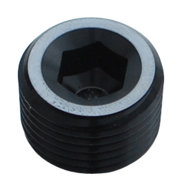 Fleece Performance Universal 1/4in NPT Hex Socket Plugs Black