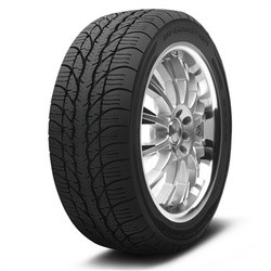 BFGoodrich (225/55R16 95H BFG g-FORCE SUPER SPORT A/S)