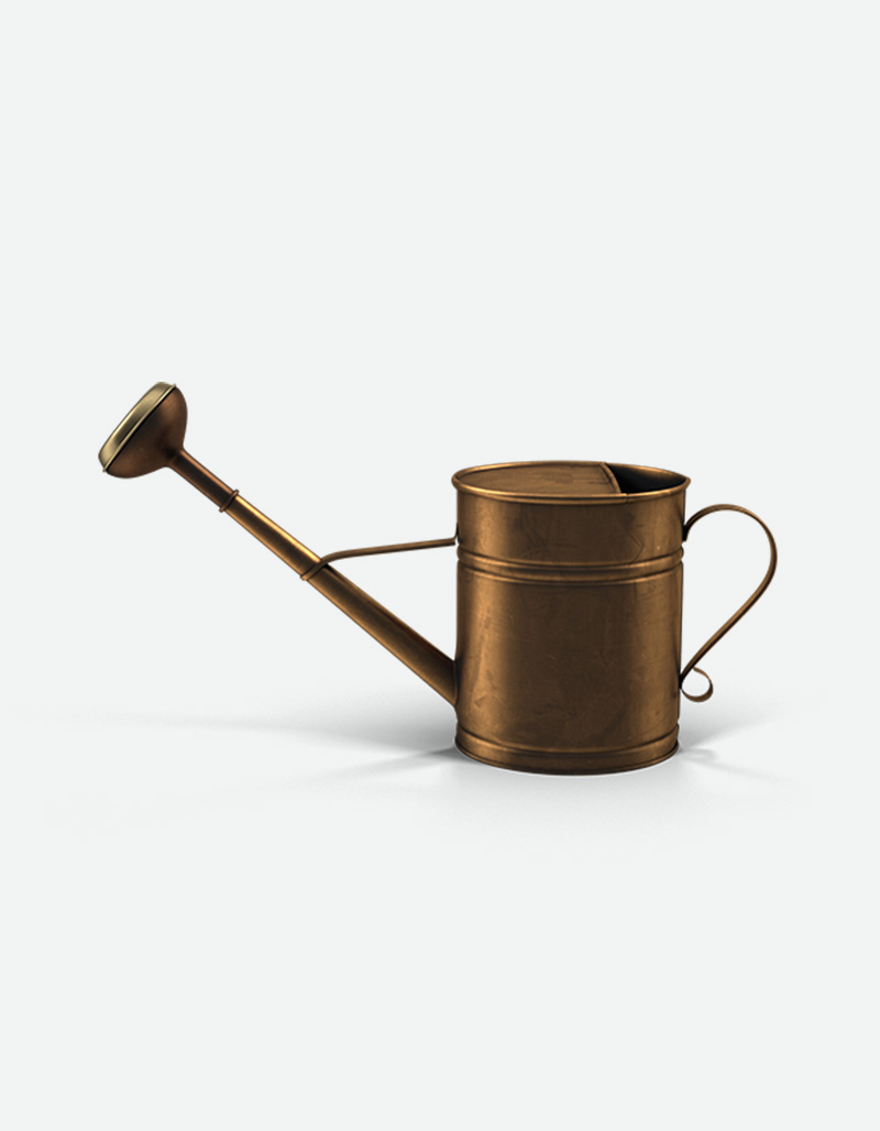 Copper Watering Can