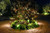 PRISM-30 Area Light with 10" Square Hat (Natural Brass)